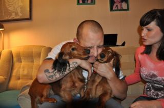 Jamnik d�ugow�osy